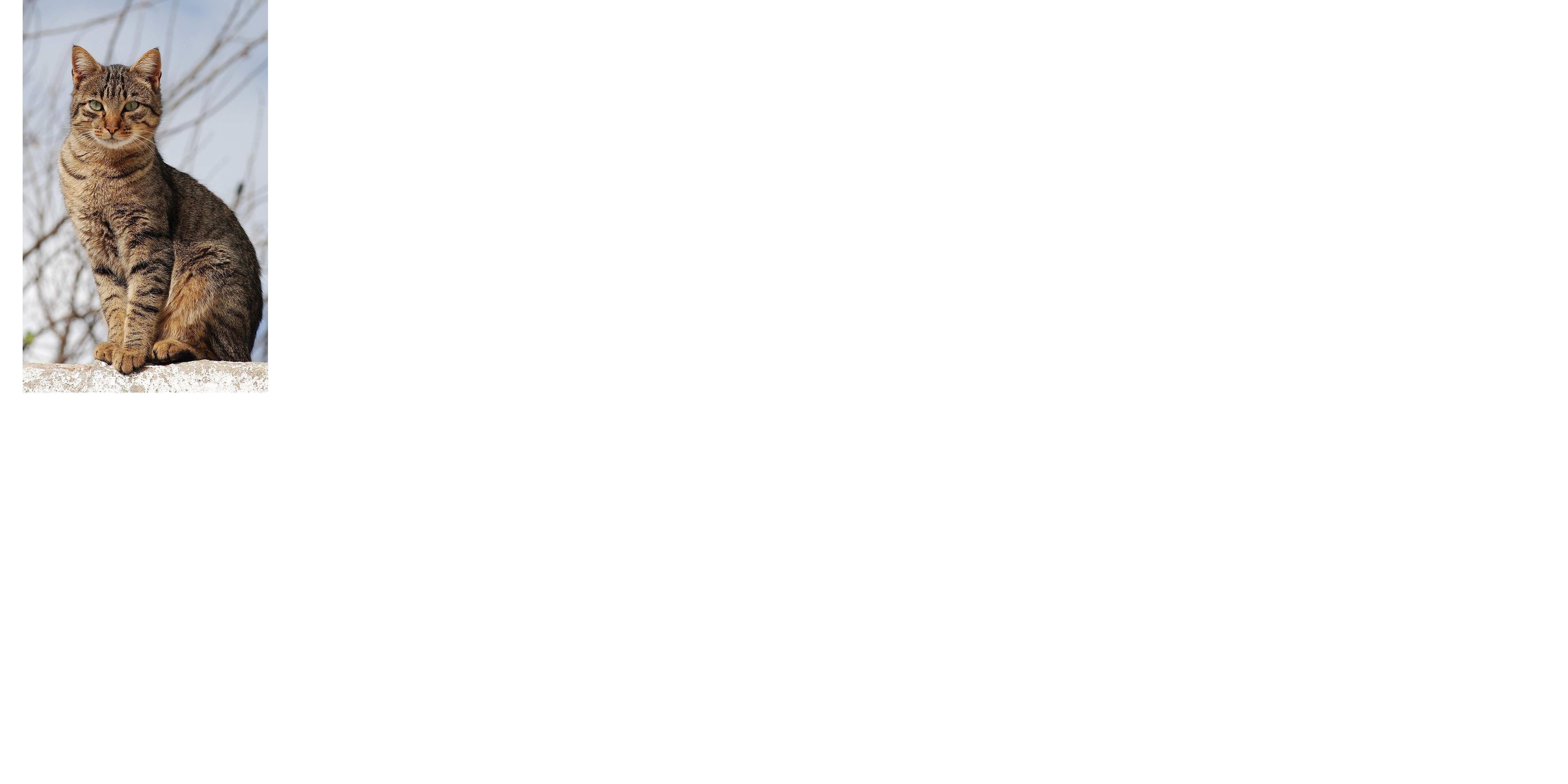 4be6ee4c-d23c-49ff-83ad-8293726c44c3