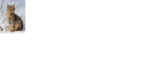 5ddcf7aa-5fe6-46c5-981f-109d074642a5