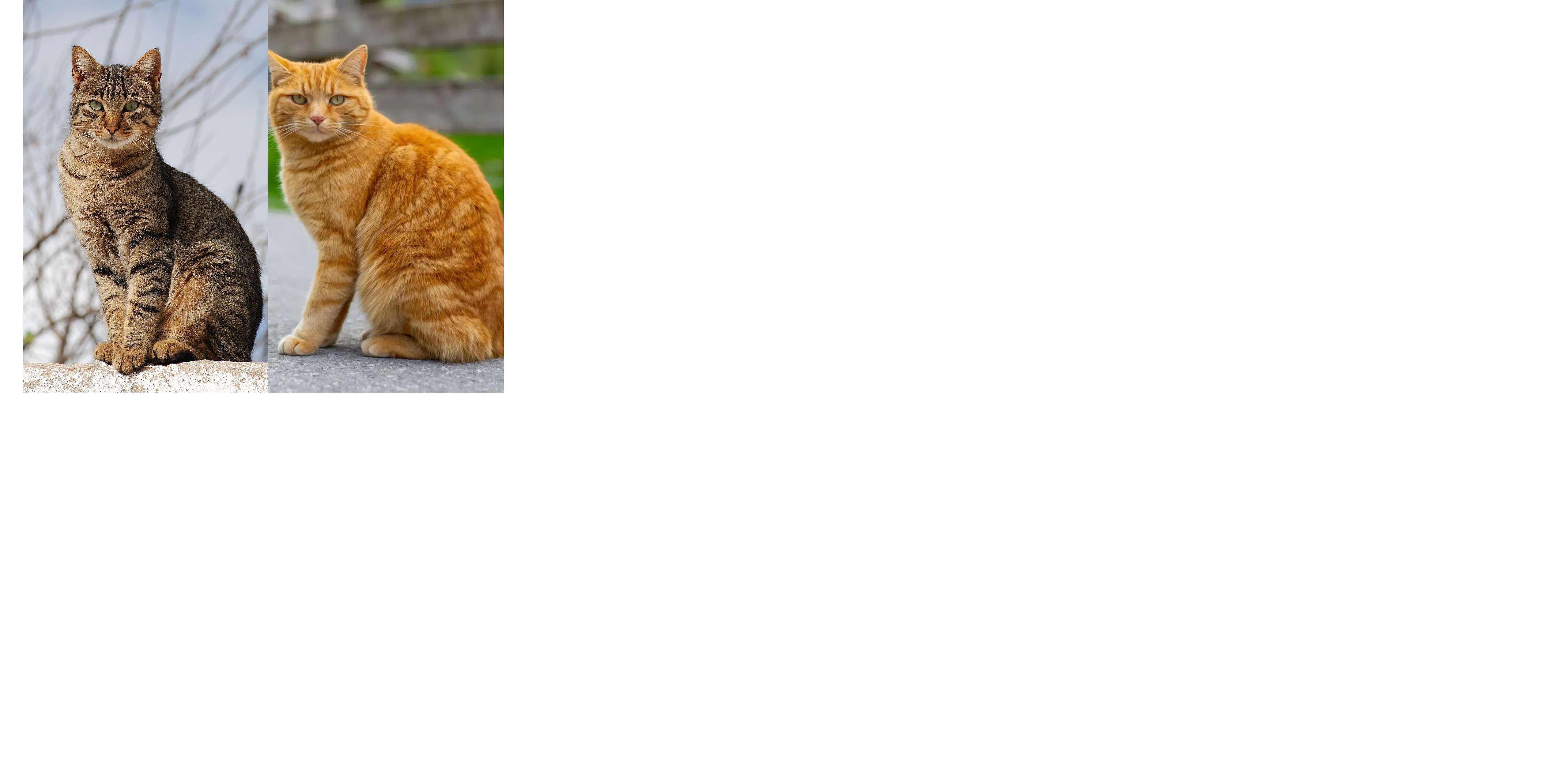 7d15b89a-d0a0-49ac-a2b2-33875819b879