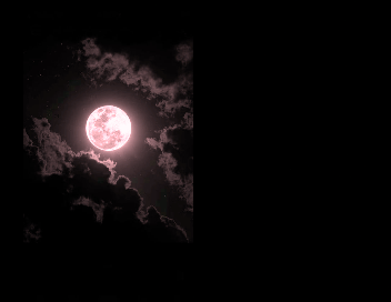 e1116d30-2588-44e6-b4c2-c641b5a4dfb9