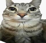 e207909b-b966-4105-81ec-30bdd1ccefc6